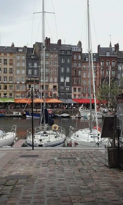 La Fleur D Honfleur Avec Son Parking Appartement Buitenkant foto